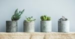 5 DIY Concrete Initiatives to Be taught for Your self