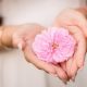 Blossoming Love: Incorporating Rosa Damascena Into Your Marriage ceremony Decor