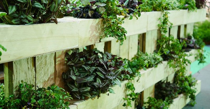 6 Finest Herbs And Greens To Develop In A Vertical Backyard