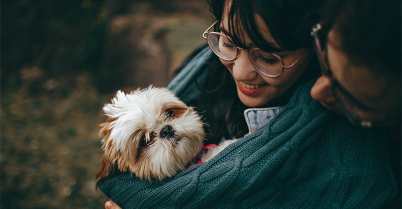 Leaving Your Canine for the First Time on Vacation