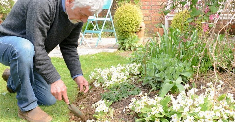 10 Important Provides for Each Gardening Fanatic